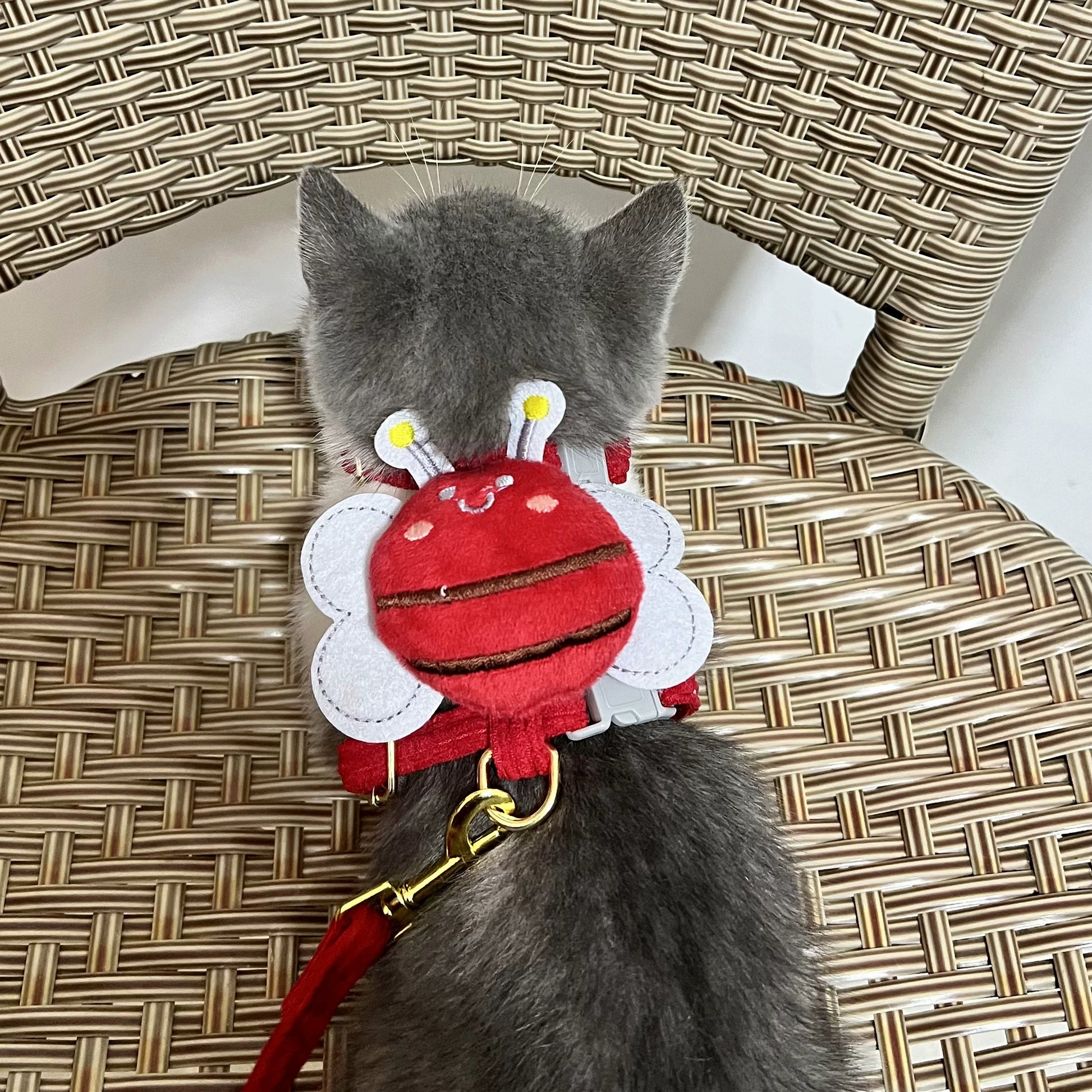 Yogusxz | Lightweight I-Style Pet Leash for Cats and Small Puppies