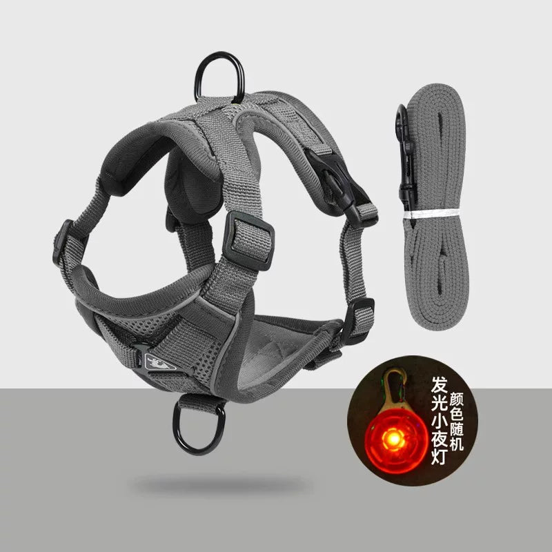 Yogusxz | Adjustable Cat Vest Harness and Leash Set for Everyday Walking