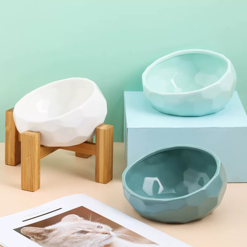 Yogusxz | Elevated Angled Ceramic Bowl for Cats and Dogs with Stable Stand