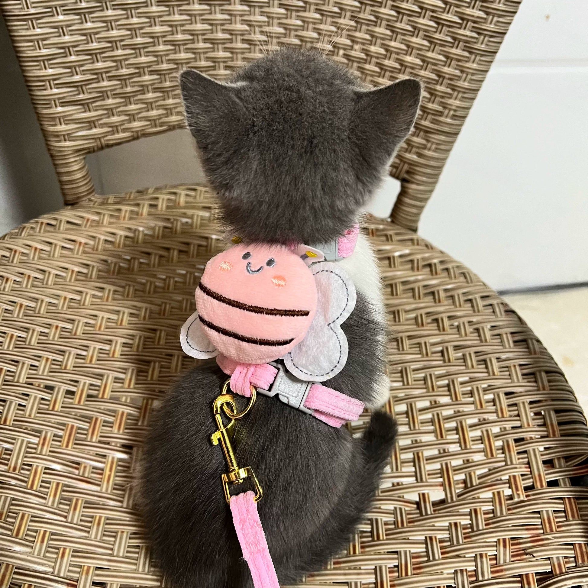 Yogusxz | Lightweight I-Style Pet Leash for Cats and Small Puppies