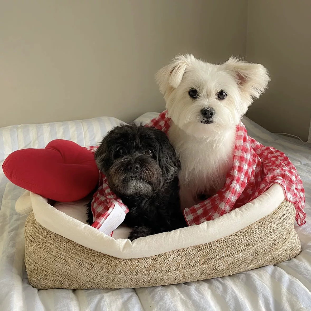 Yogusxz | Cozy Pet Pillow for Cats and Dogs with Contoured Support Design